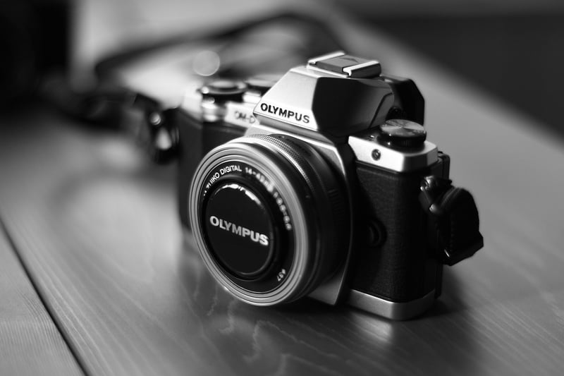 Quantum Temporal Camera